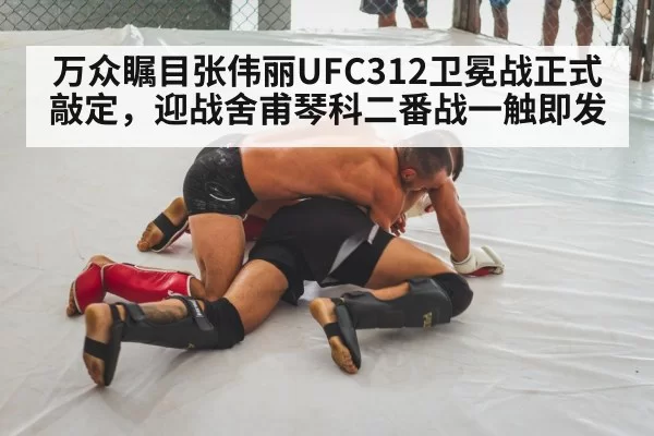 万众瞩目张伟丽UFC312卫冕战正式敲定,迎战舍甫琴科二番战一触即发
